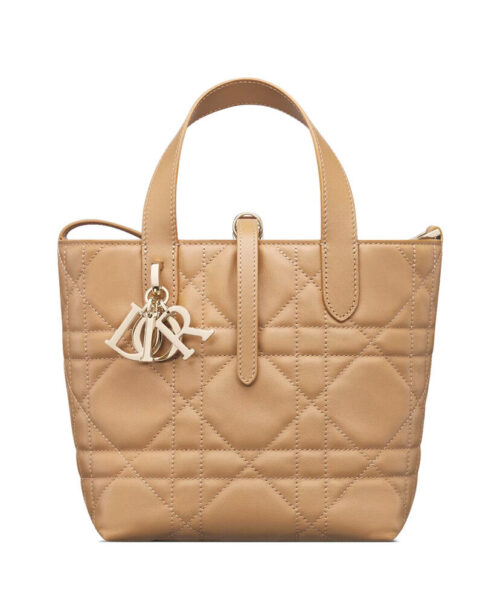Christian Dior Small Dior Toujours Vertical Tote Bag